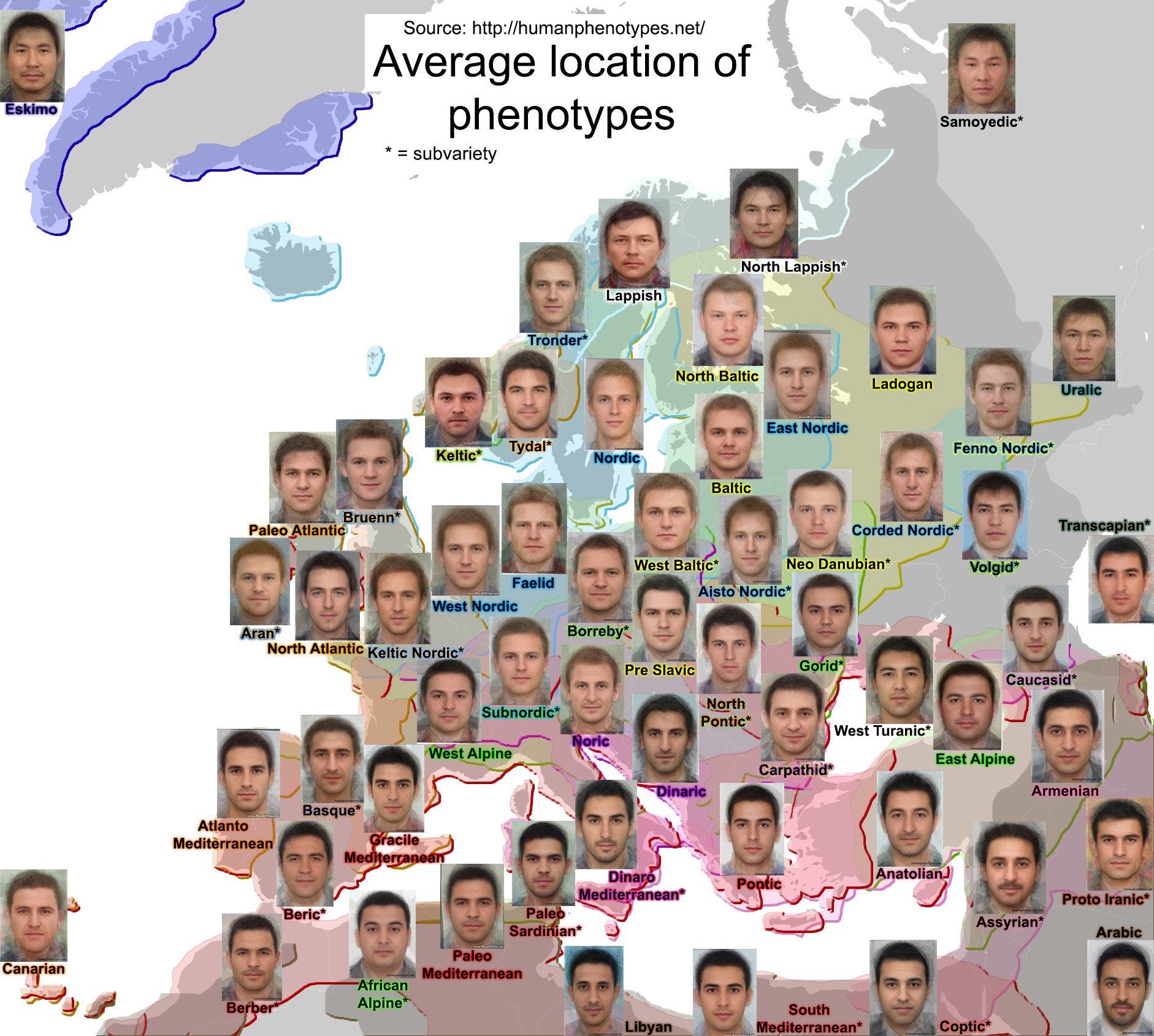 Male phenotypes across Europe and surrounding areas : r/MapPorn