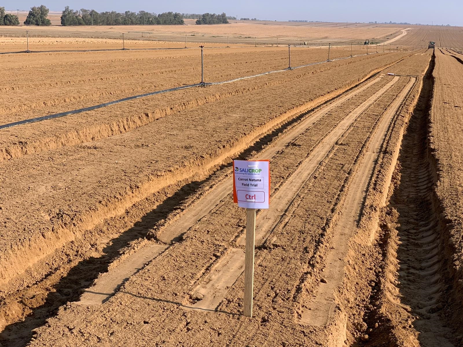 salicrop-test-site.jpg