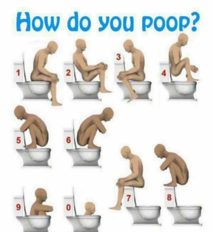 Poo+in+the+loo_03797a_6259229.jpg