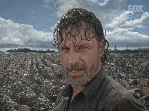 giphy.gif