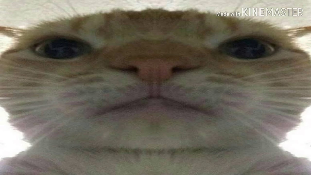 maxresdefault.jpg