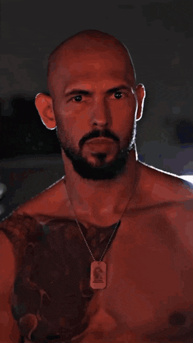 a bald man with a beard wears a necklace with a tag that says s on it