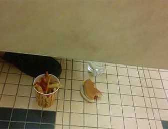 bathroom-stall-335x256.jpg