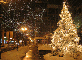 Christmas Tree GIF