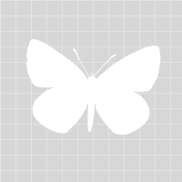 momskoop.com