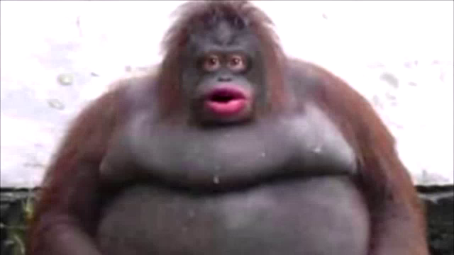 tenor.png