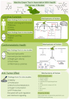 www.sciencedirect.com