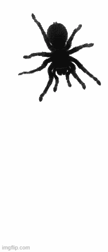 5rg0t2.gif