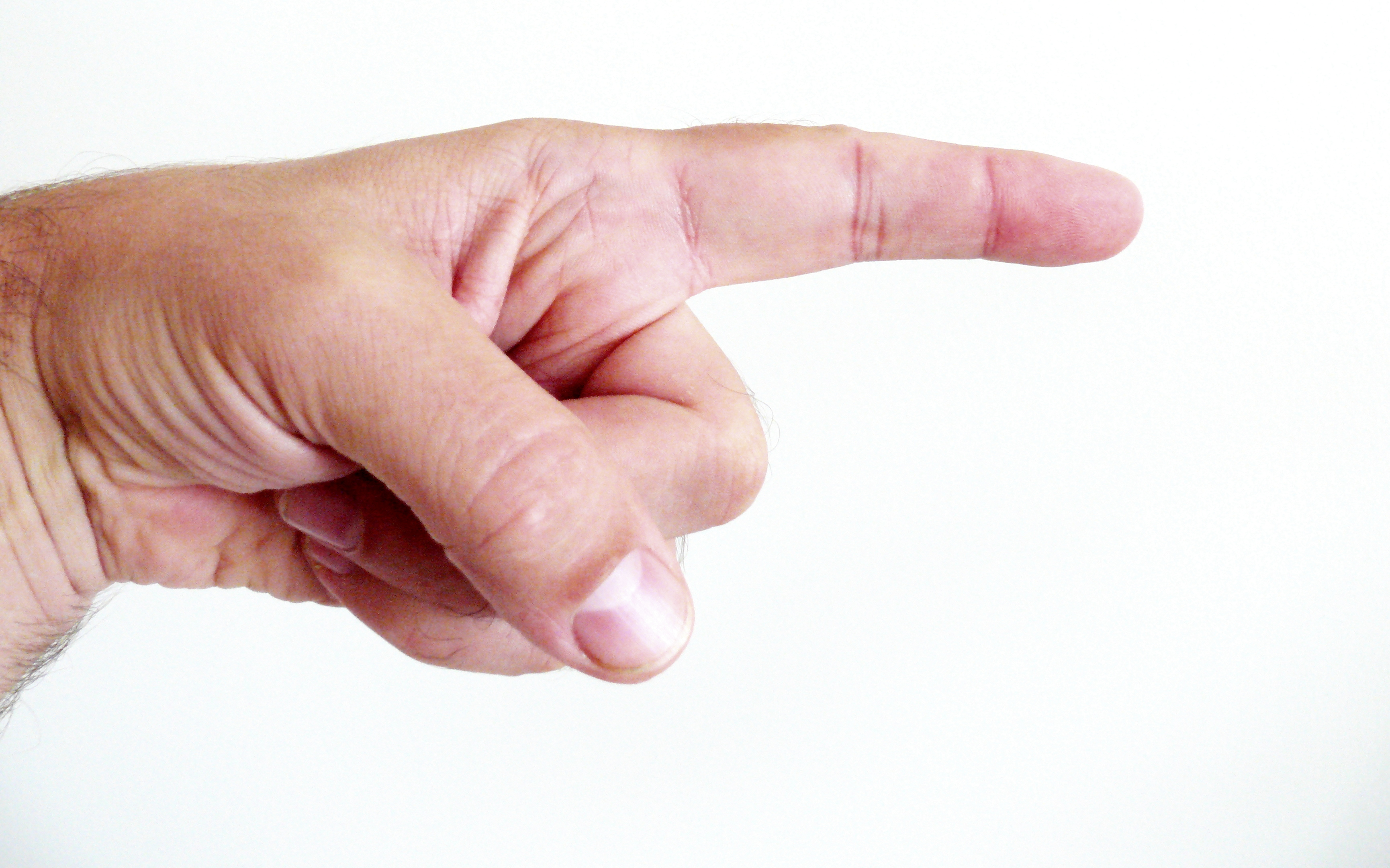 Index_finger_front.JPG