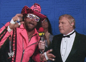 macho man randy savage deal with it GIF