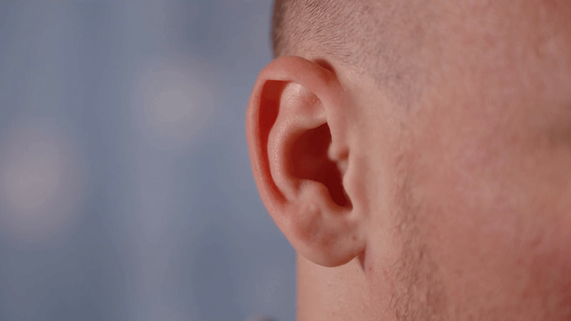 Vestigial' human ear-wiggling muscle actually flexes when we're straining  to hear | Live Science