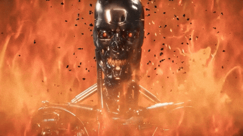 giphy.gif