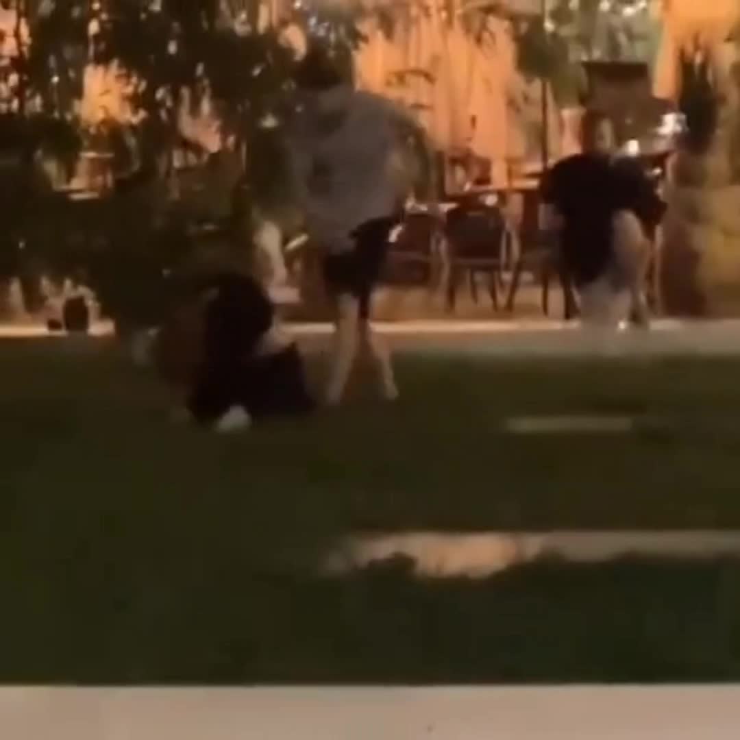 www.livegore.com
