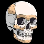 designmyimplants.com