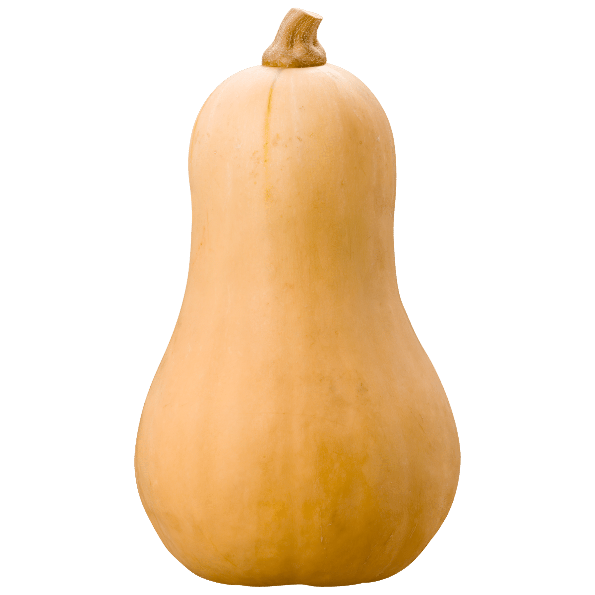 butternut-squash.png