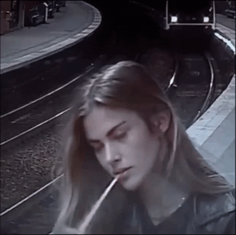 giphy.gif