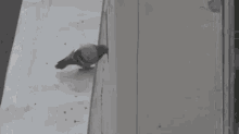 gbcruelworld.gif