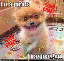 haz GIF