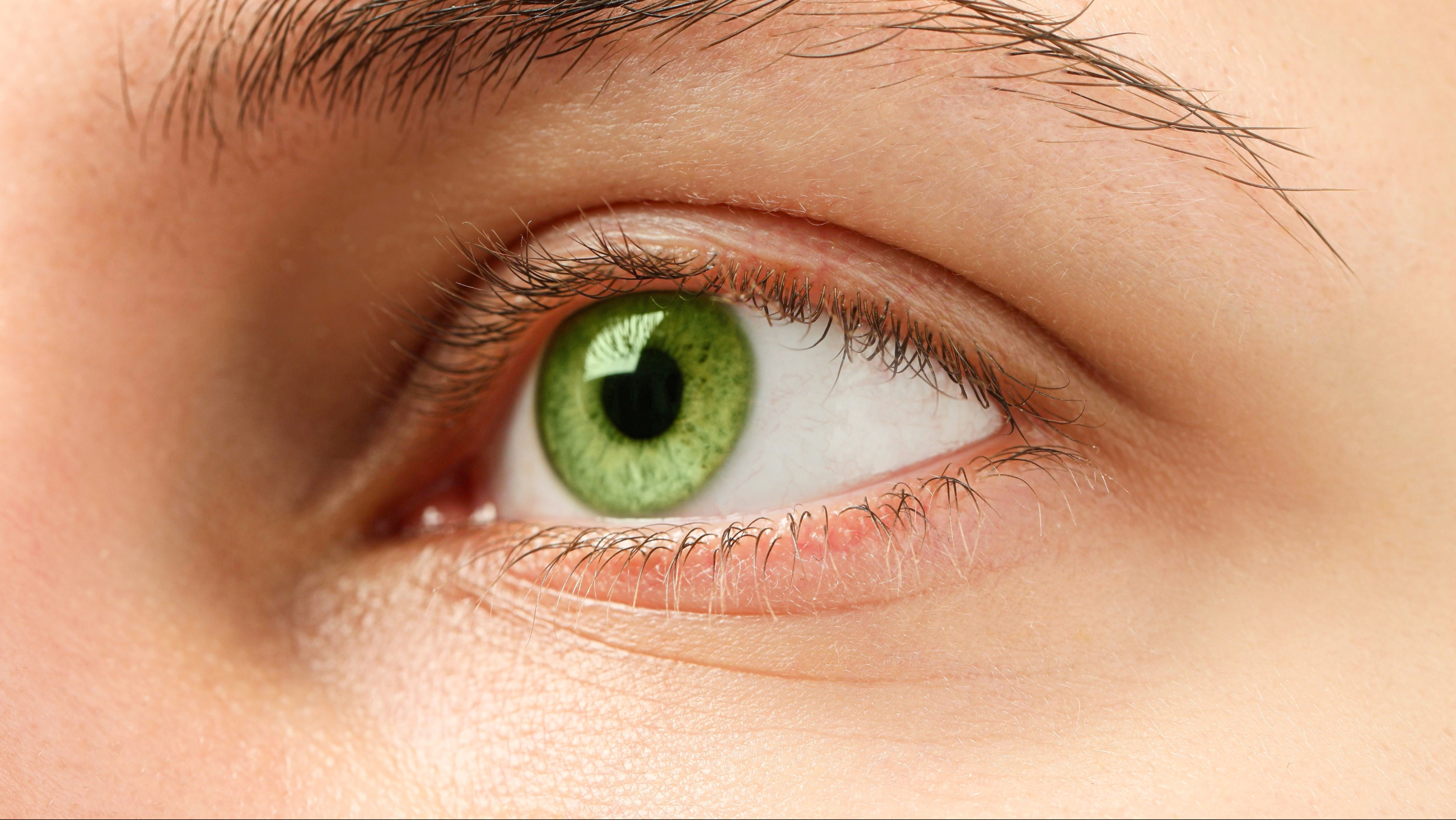 www.allaboutvision.com
