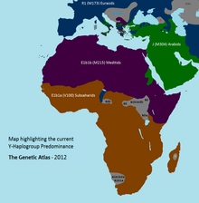 220px-Predominant_Haplogroups.png