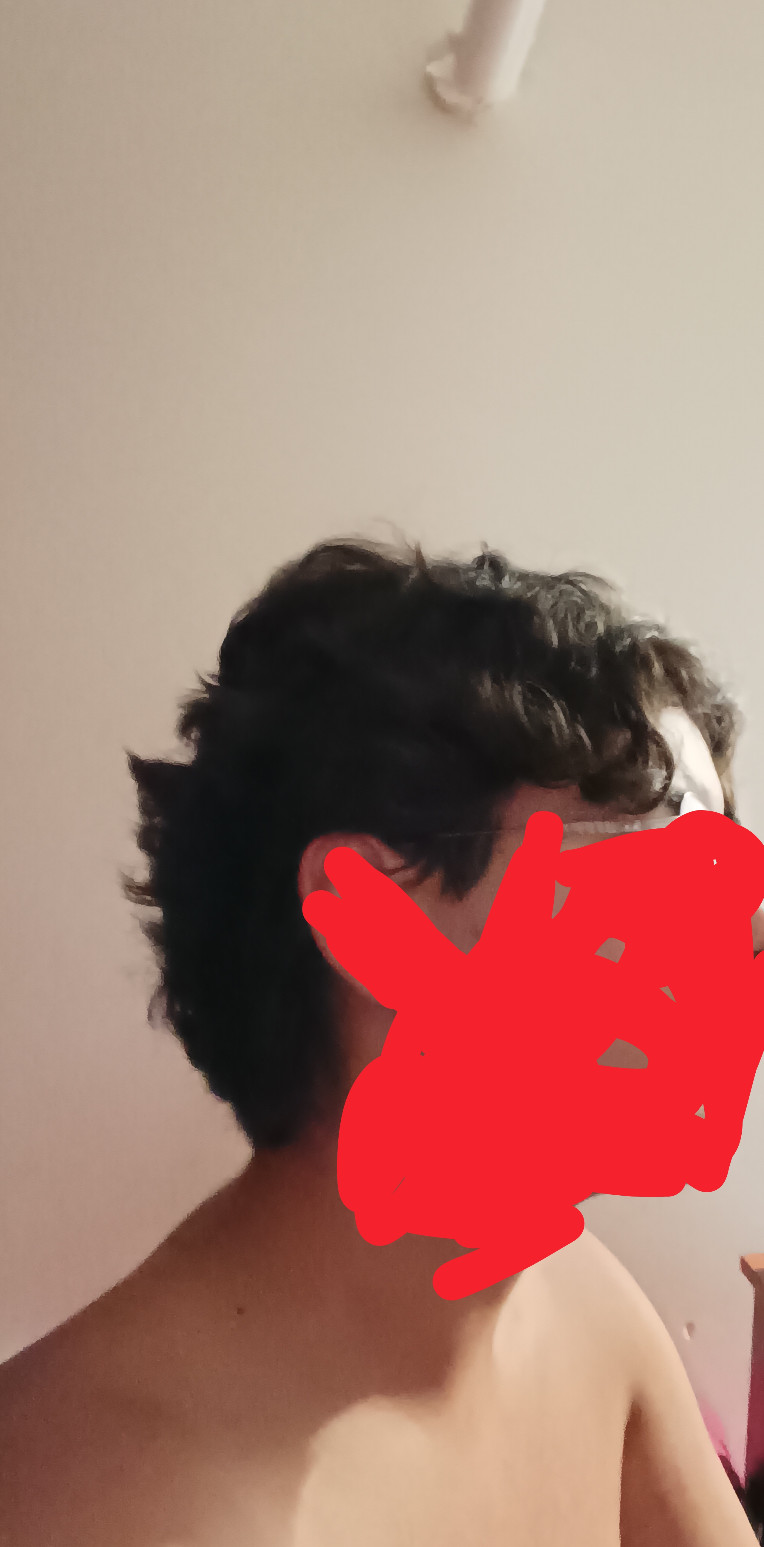 6529039_1000026678.jpg