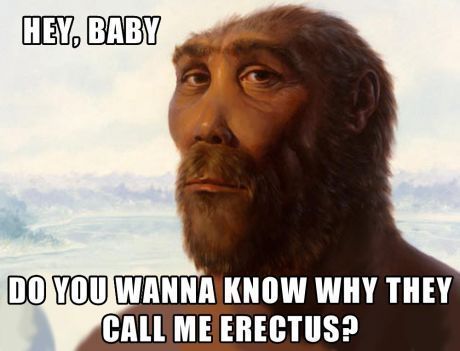 5232ea289137c.jpeg