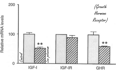 potassium-igf-1.gif