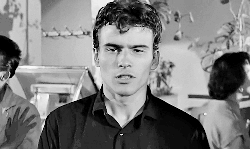 tumblr_prcqgfAdrC1rbe3e3o1_r1_500.gifv