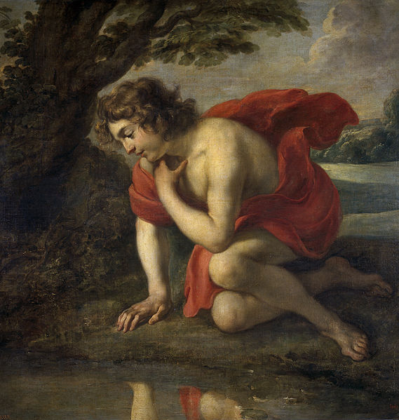 cossiers-narcissus.jpg