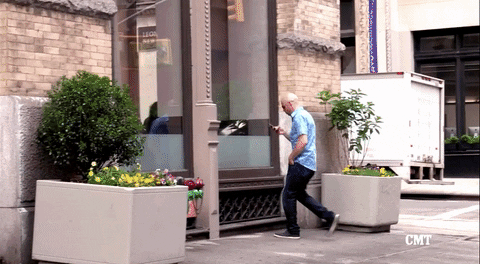 giphy.gif