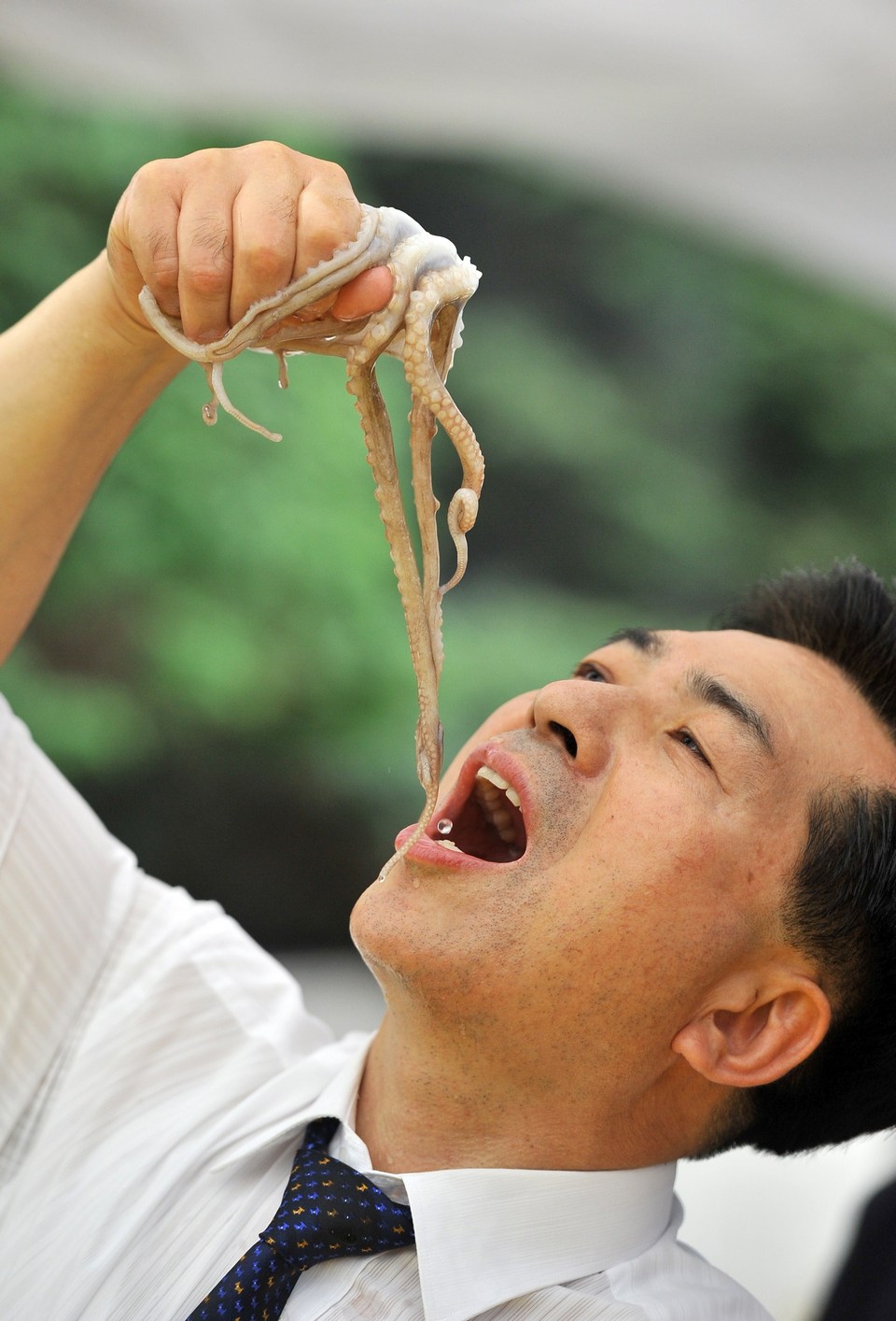 Sannakji-Live-Octopus-Sashimistrange-food-in-koreaunusual-korean-foodweird-korean-foodkorean-strange-food-12.jpg