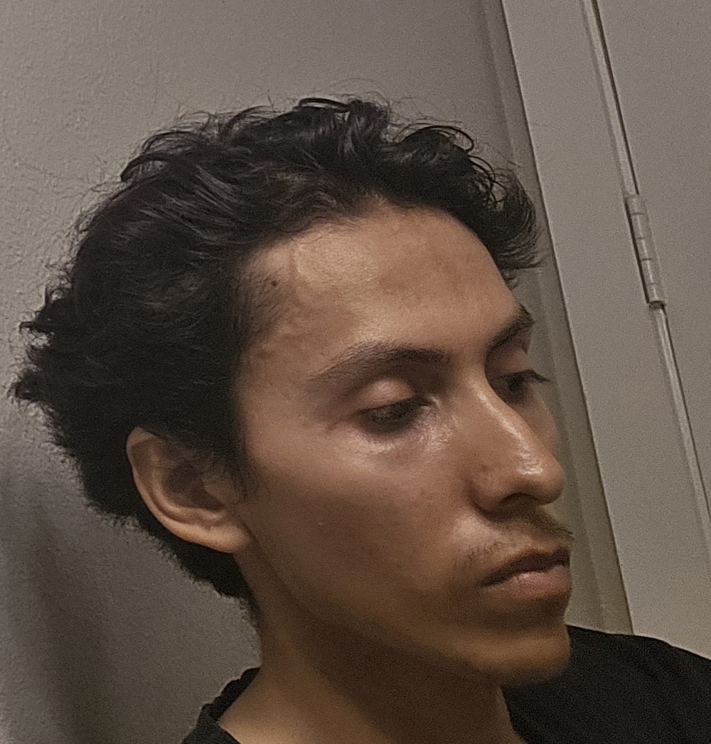 abeiNl2.jpg