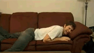 giphy.gif