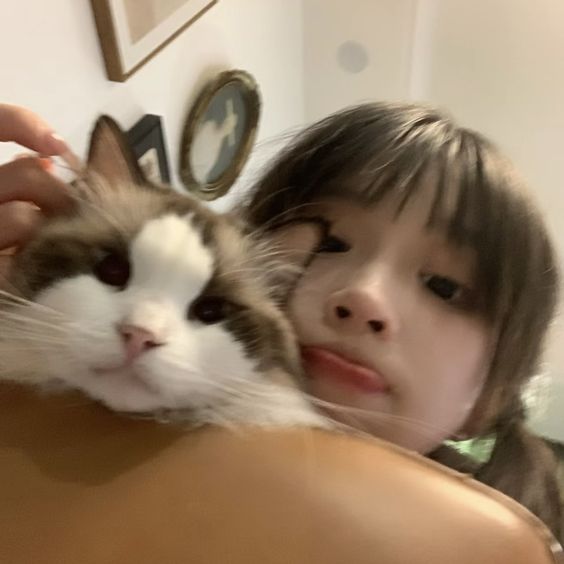 3843126_IMG_3290.jpeg