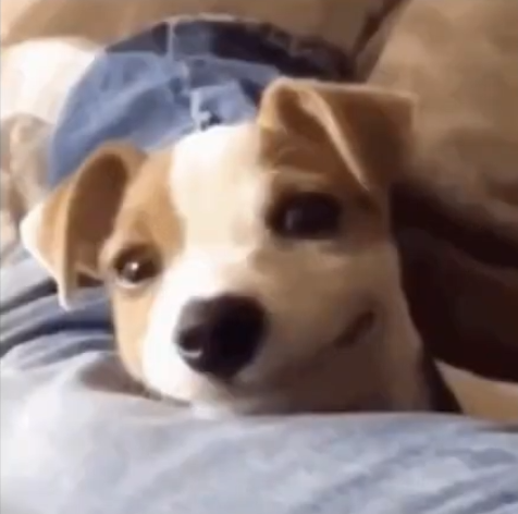 Hczuasbidchjsnajkc