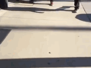 6851599_yadstopwins.gif