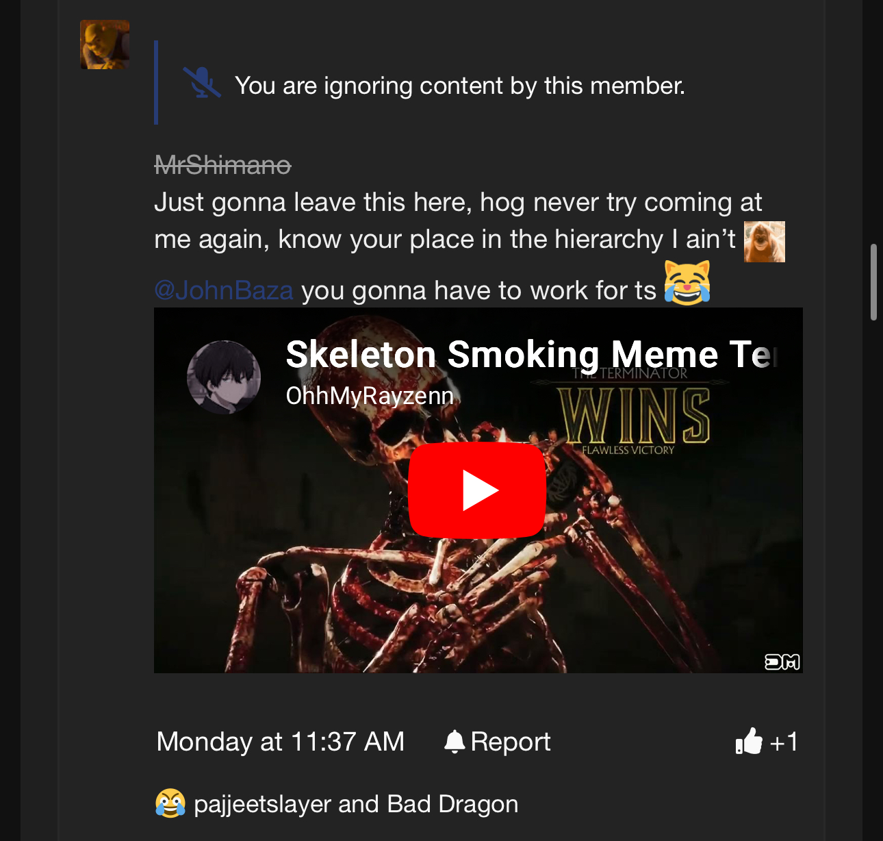 5393823_1759517397260.jpeg