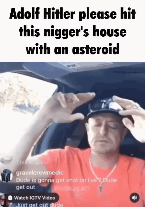 6885399_1000031635.gif