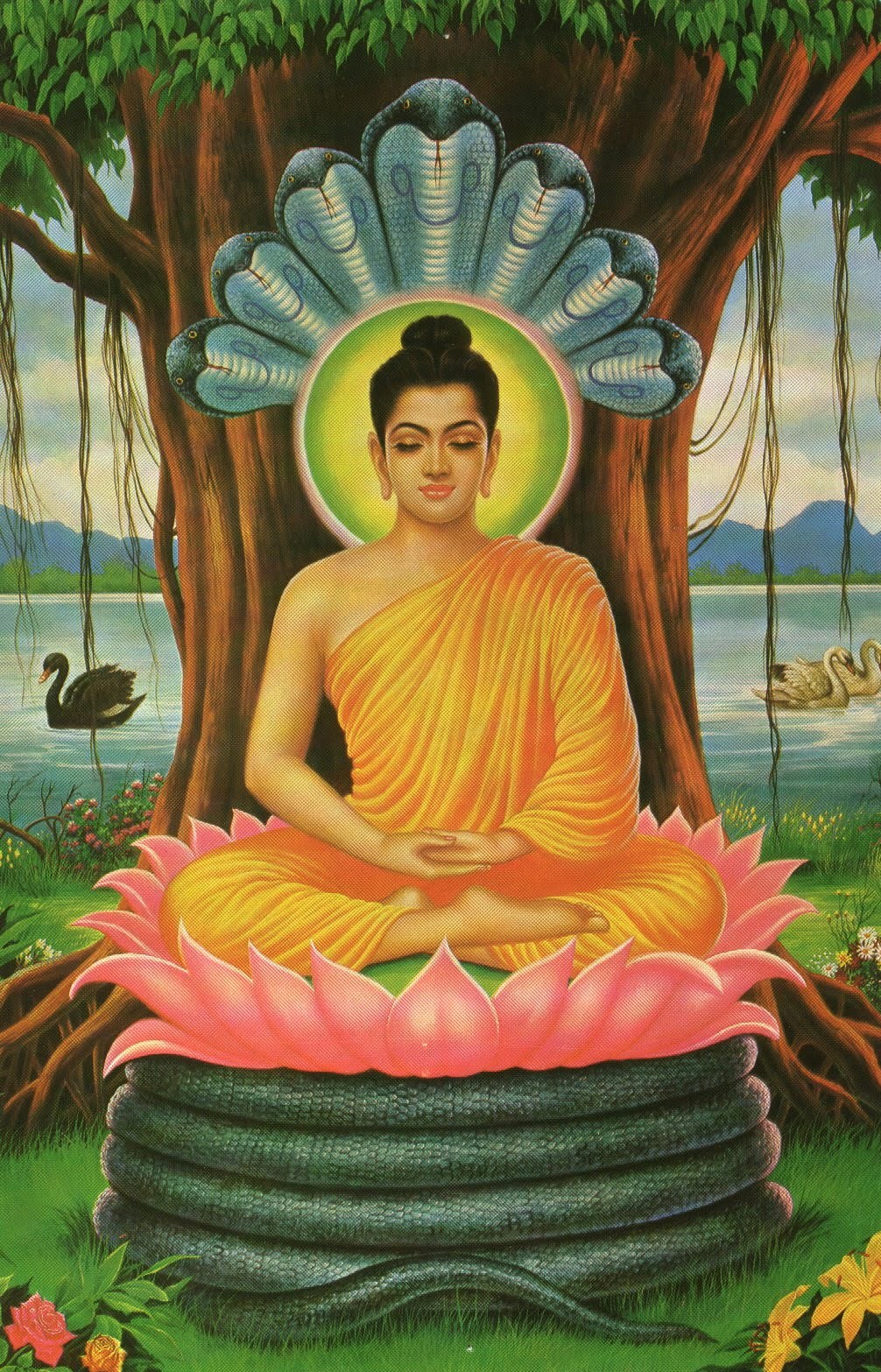 Buddha_meditating.jpg