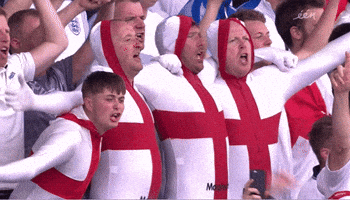 euro 2016 england GIF by Sporza