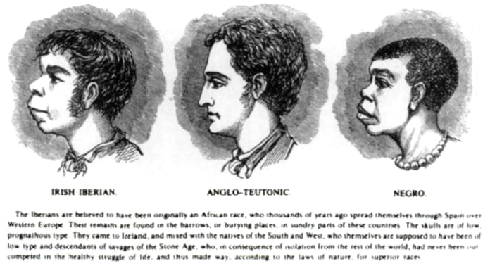 Scientific_racism_irish.jpg