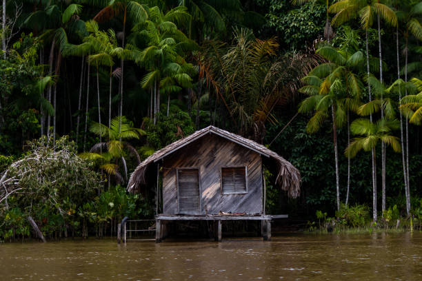 traditional-stilt-houses-on-riverbanks-in-amazon-region-of-brazil.jpg