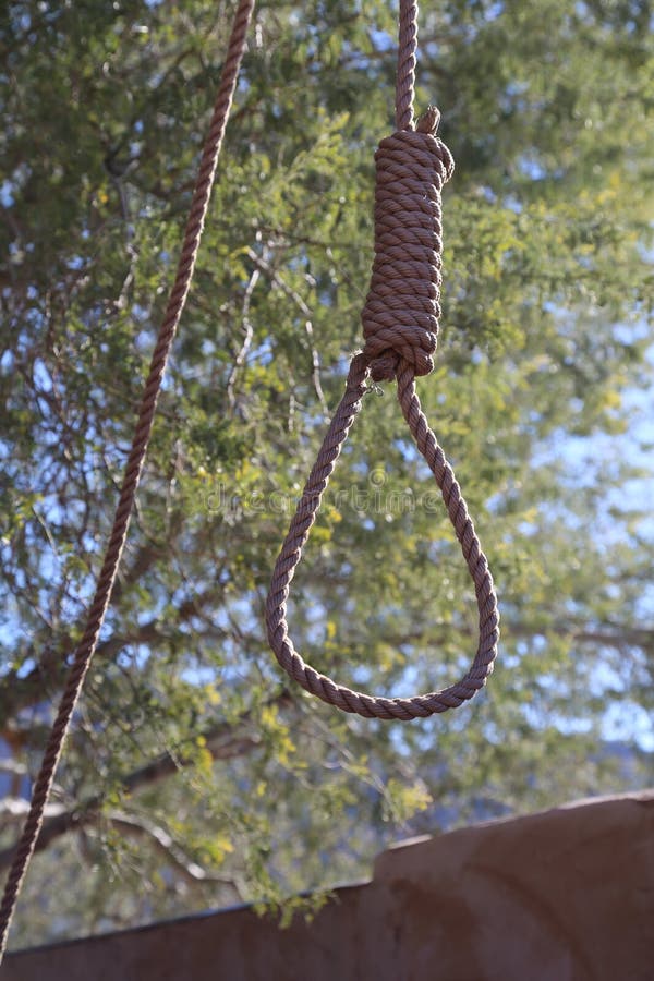 Noose stock image. Image of display, tree, hanging, fears - 49088477