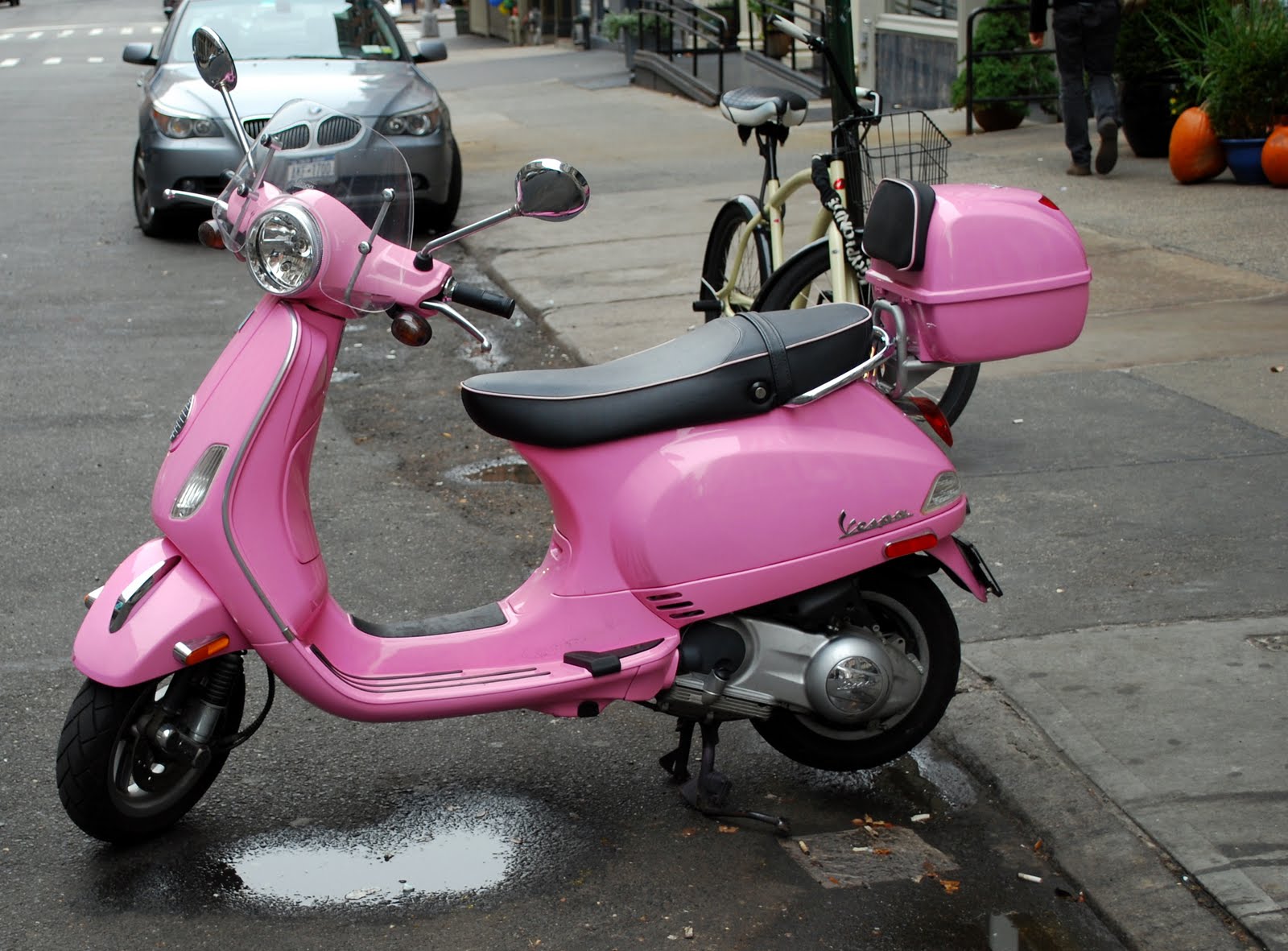 DSC_0176.JPG
