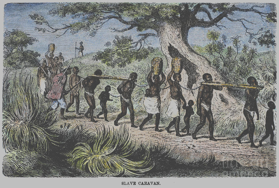 wethoughttheywerewhite2.weebly.com