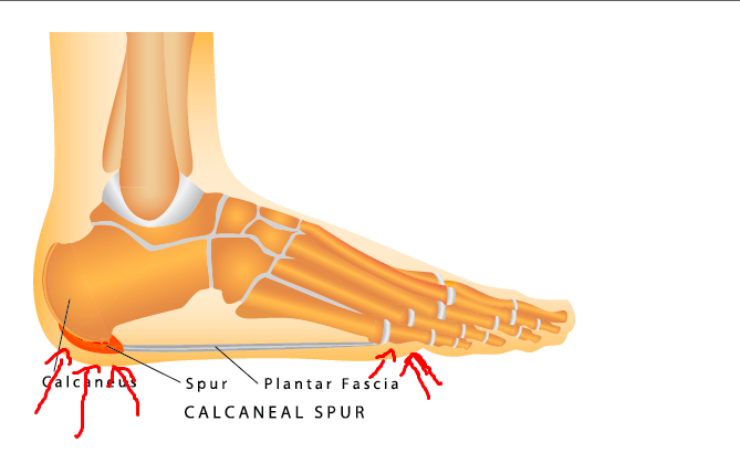 Screen Shot 2021-03-06 at 2.05.34 pm.png