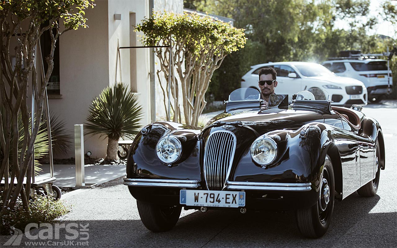 1954-Jaguar-XK120-Gandy.jpg