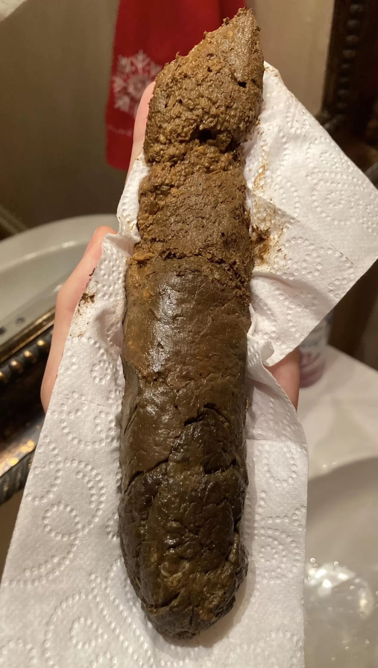 Just took this massive fucking crap