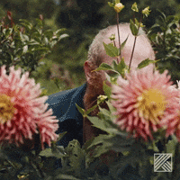 happy man GIF by HORNBACH