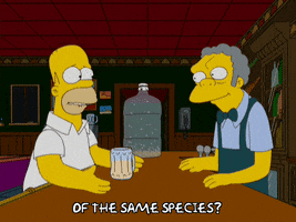 homer simpson GIF